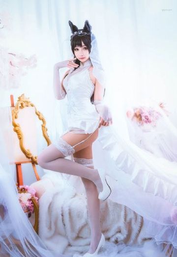 欧美gvvideo网站_蓝光在线观看完整版