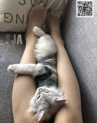 欧美小国风情_DVD免费全集观看